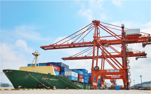 尊龙人生就是博首页状元岙港务分公司